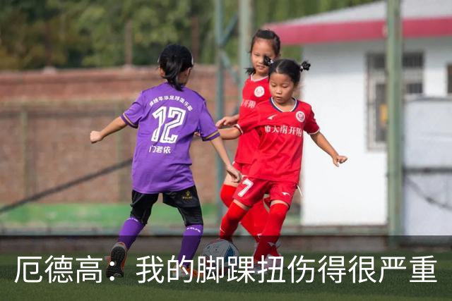 厄德高：我的脚踝扭伤得很严重